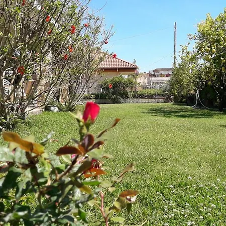 Casa Vacanze Un Sogno Al Mare Ascea